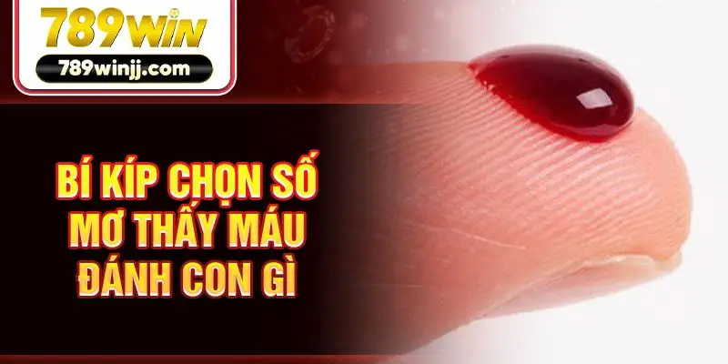 Bí kíp chọn số mơ thấy máu đánh con gì